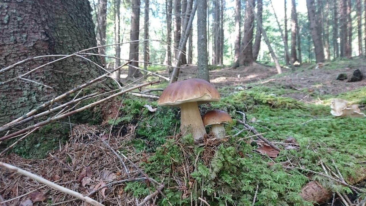 Aengsliden Villa Charlottenberg Bagian luar foto
